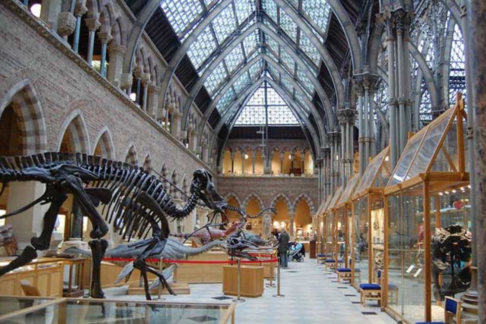 Oxford's world-class museums for students